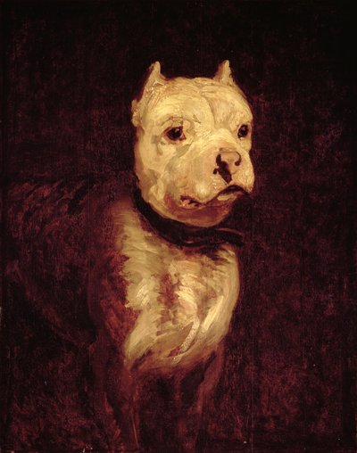 不明な画像 作： Theodore Gericault