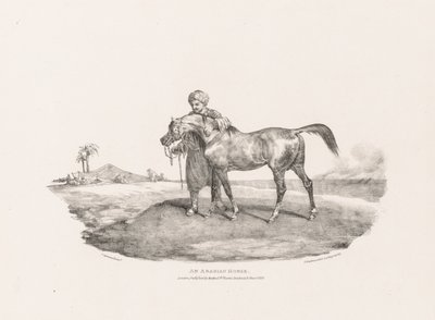 実物や石をモデルにしたさまざまな題材：アラビア馬 作： Theodore Gericault