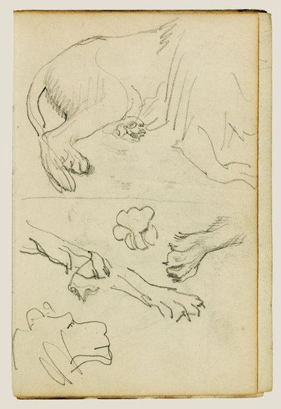 ライオンの脚、前足、頭部の様々な研究 作： Theodore Gericault