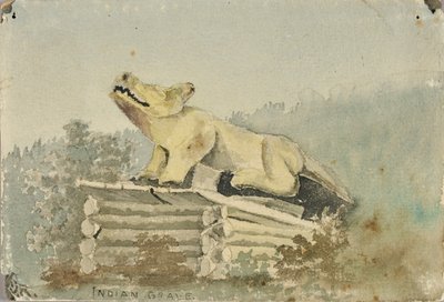 インドの墓。 ウルフ トーテム オーバー メディスン マン グレイブ、ランゲル、カリフォルニア州。 1880～1914年。 作： Theodore J. Richardson