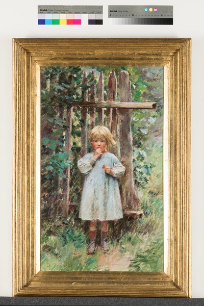 略奪者 作： Theodore Robinson