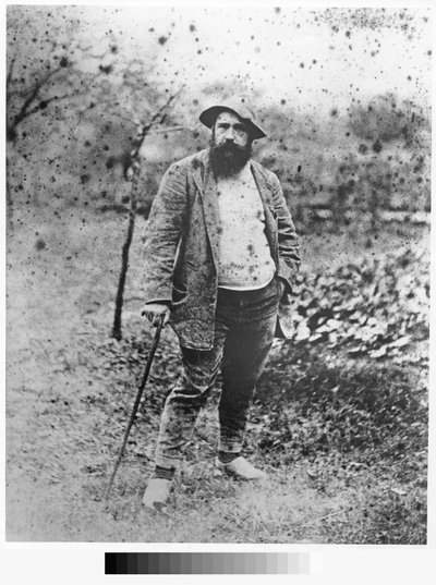 クロードモネの庭、1880年（シルバープリント） 作： Theodore Robinson