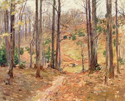 バージニアウッズ、1893 作： Theodore Robinson