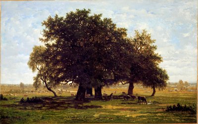 樫の木の群れ、アプレモント（油彩・キャンバス 作： Pierre Etienne Theodore Rousseau