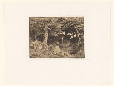 岩の上の樫の木 シェネス・ド・ロッシュ（原題） 作： Theodore Rousseau