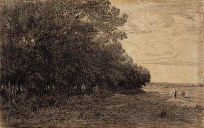 マシュランの森の背の高い木の小さなグループ 作： Theodore Rousseau