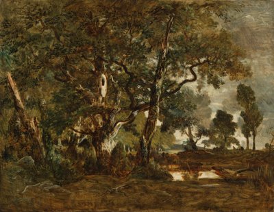 フォンテーヌブローの森、バス・ブローの端にあるクレール・ボワ平野を見下ろす高木群 作： Theodore Rousseau
