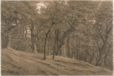 フォンテーヌブローの森にて 作： Theodore Rousseau