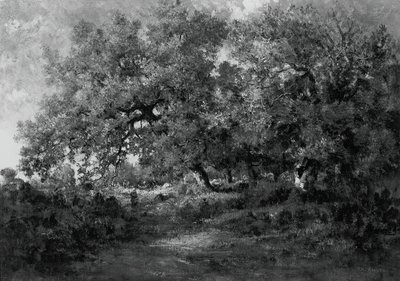 風景、c。 1860年。 作： Theodore Rousseau