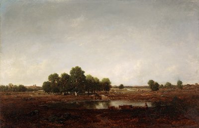 湿地のある風景 作： Pierre Etienne Theodore Rousseau