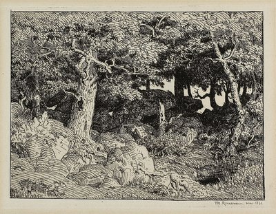 岩からのオーク 作： Theodore Rousseau