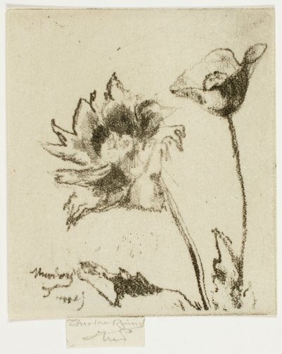 Two Flowers   1277191   ja       japanese Successfully Translated  Original: Christus aan het kruis Serie van Ecce Homo, de gekruisigde Christus, Maagd Maria en Johannes de Evangelist Translat: Christus aan het kruis Serie van Ecce Homo, de gekruisigde Chr 作： Theodore Roussel
