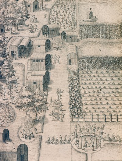 バージニア州の耕作地に囲まれたネイティブインディアンの村 作： Theodore de Bry