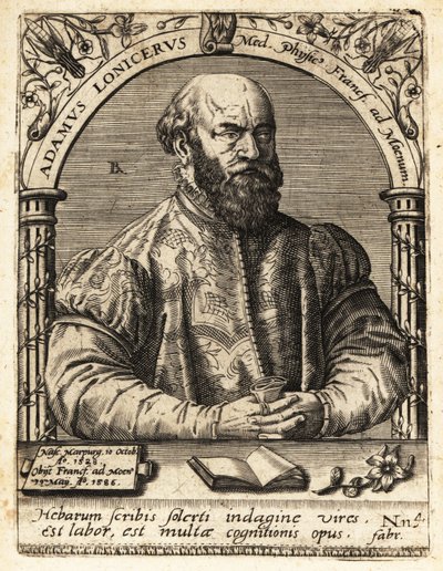 アダム・ロニカーまたはロニター 作： Theodore de Bry