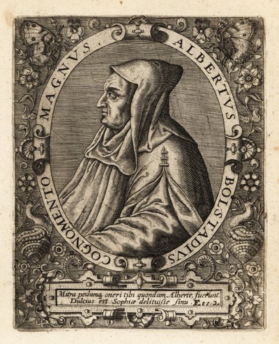 アルベルトゥス・マグヌス（ドイツのカトリック司教）。 作： Theodore de Bry