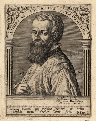 アンドレアス・ヴェサリウス（フランドル地方の医師、解剖学者 作： Theodore de Bry
