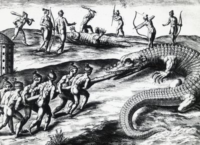 ジャック・ル・モワン・ド・モルグ（1533年頃-1588年以前）の絵から、テオドール・デ・ブライ（1528-1598）が描いたフロリダでのワニ狩り。 作： Theodore de Bry