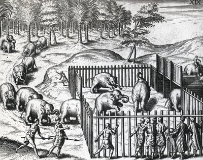 テオドール・デ・ブライ（1528-1598）によるペグ王国（現在のミャンマー）での象狩り、彫刻 作： Theodore de Bry