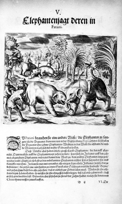 象の戦い、1606 作： Theodore de Bry