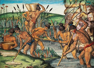 ジャック・ル・モワン・ド・モルグ（1533年頃-1588年以前）の絵をテオドール・デ・ブライ（1528-1598）が彩色したもので、『ブレビス・ナラティオ』に収録されています。 作： Theodore de Bry