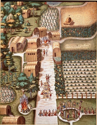アメリカ史：「バージニア州セコタ市の庭園」セオドア・デ・ブライ（1528-1598）の「Admirante Narratio Americae」からの挿絵 作： Theodore de Bry