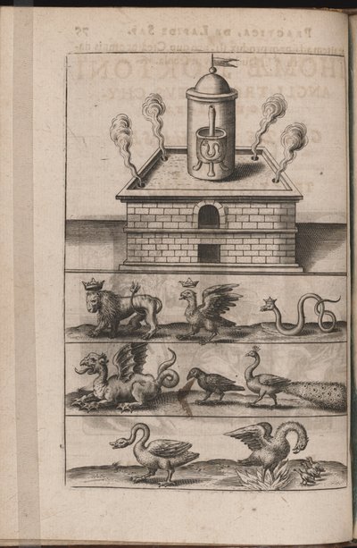 Tripvs avrevsのイラスト、つまり3つの最も選択された..パート化学者、1618 作： Theodore de Bry