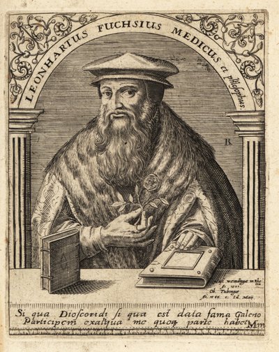 Leonhart Fuchs, ドイツの医師・植物学者 1501-1566 . 作： Theodore de Bry