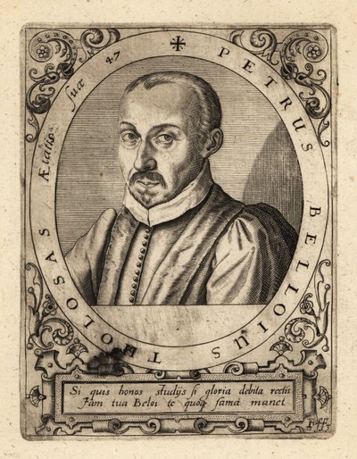 ピエール・ド・ベロイ（フランスの法学者、判事）。 作： Theodore de Bry
