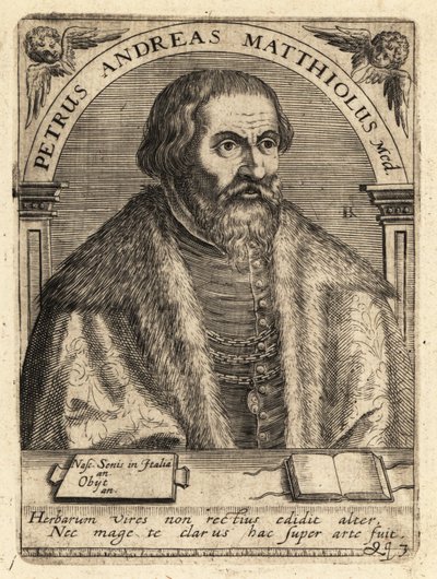 Pietro Andrea Gregorio Mattioli（イタリアの医師 作： Theodore de Bry