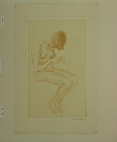  作： Théophile Alexandre Steinlen
