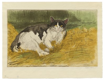 草の中の古い黒と白の猫 作： Théophile Alexandre Steinlen