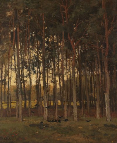 森の中を見る 作： Theophile de Bock