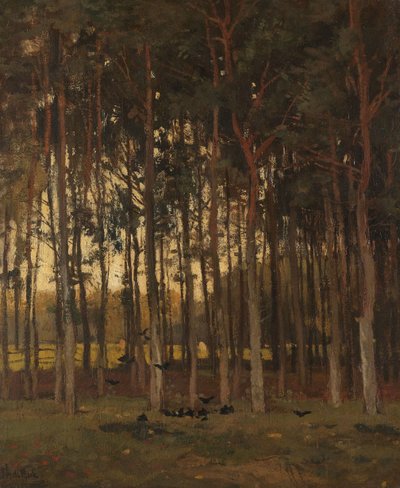 作： Theophile de Bock