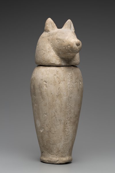 ジャッカルの頭のついたカノポスの壺（石灰岩 作： Third Intermediate Period Egyptian