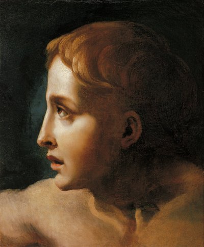 青年の頭 作： Theodore Gericault