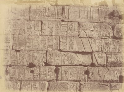 象形文字の碑文と彫刻の拡大図（敗北した国のリスト）、カルナック 作： Théodule Devéria