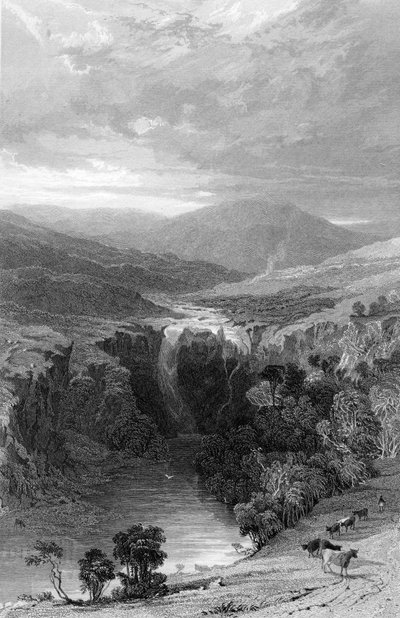 ティーズのハイフォース、ダーラム、c.1835 作： Thomas Allom