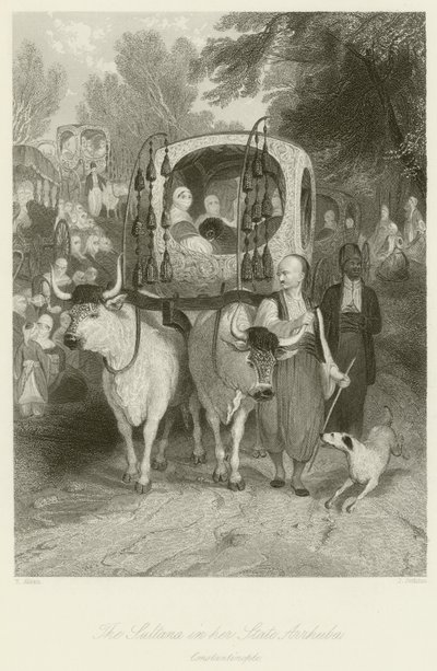 アルーバ州のスルタナ 作： Thomas Allom