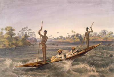 急流の船頭ザンジュエラ、パブ。 1865年。 作： Thomas Baines
