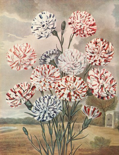 ピコティーズ、c1802-1821、1948。 作： Thomas Baxter