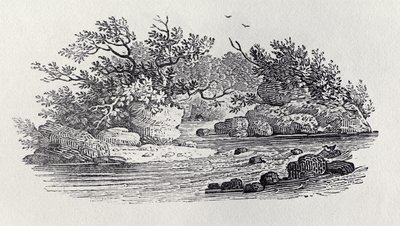 「イギリスの鳥の歴史、第2巻：水の鳥」、1804年からの川のベンド 作： Thomas Bewick