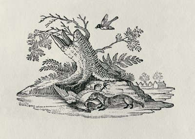 「四足動物の歴史」からの鳥とおんどり1790 作： Thomas Bewick