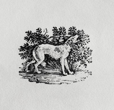 19世紀の「四足動物の歴史」の猟犬 作： Thomas Bewick