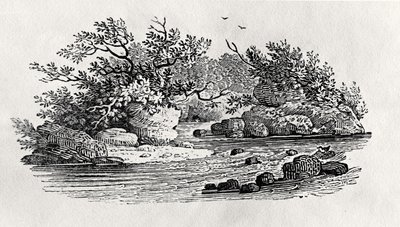 1804年に出版された「水鳥」より「川の曲がり角」（木版画 作： Thomas Bewick