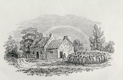 宿屋の外での闘鶏 1801年頃 1805年出版の「Landbirds」より（エングレーヴィング 作： Thomas Bewick