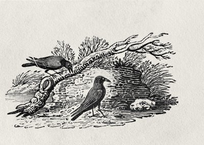 「イギリスの鳥の歴史」第1巻、パブのカラス（Corvus corone corone）。 1797（木の彫刻） 作： Thomas Bewick