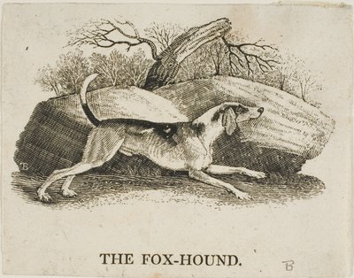 フォックスハウンド 作： Thomas Bewick
