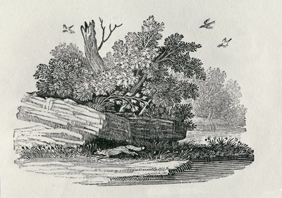 フォックスの脱出、「四足歩行の一般的な歴史」から1790年に出版（木版画） 作： Thomas Bewick