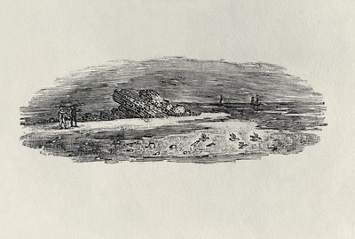 沿岸輸送のある岩、c。 1801年、「水鳥」から出版、1804年（木の彫刻） 作： Thomas Bewick