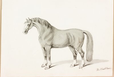 黒い馬（紙にインク） 作： Thomas Bewick